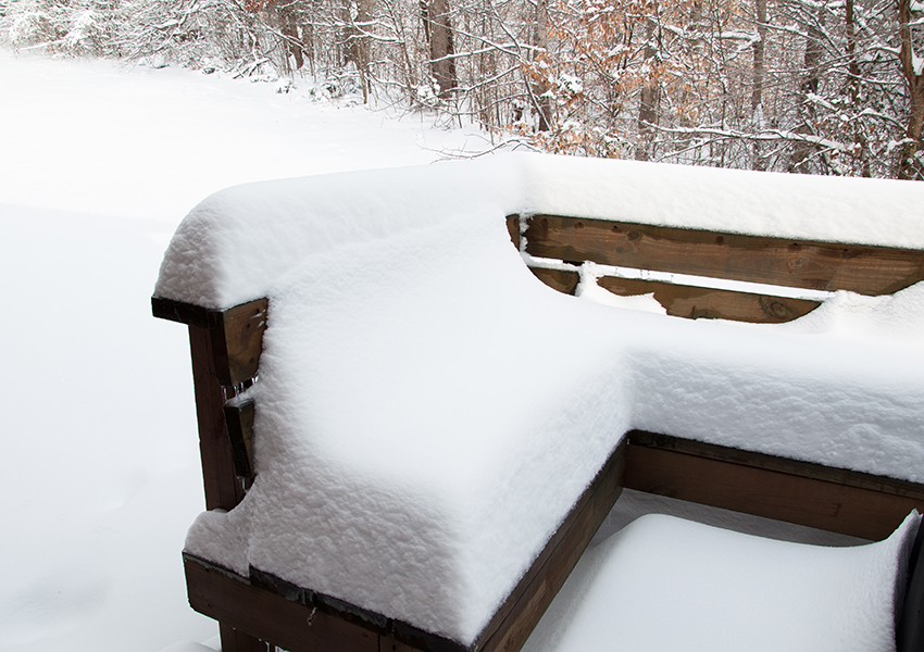 Back Porch Record Snow